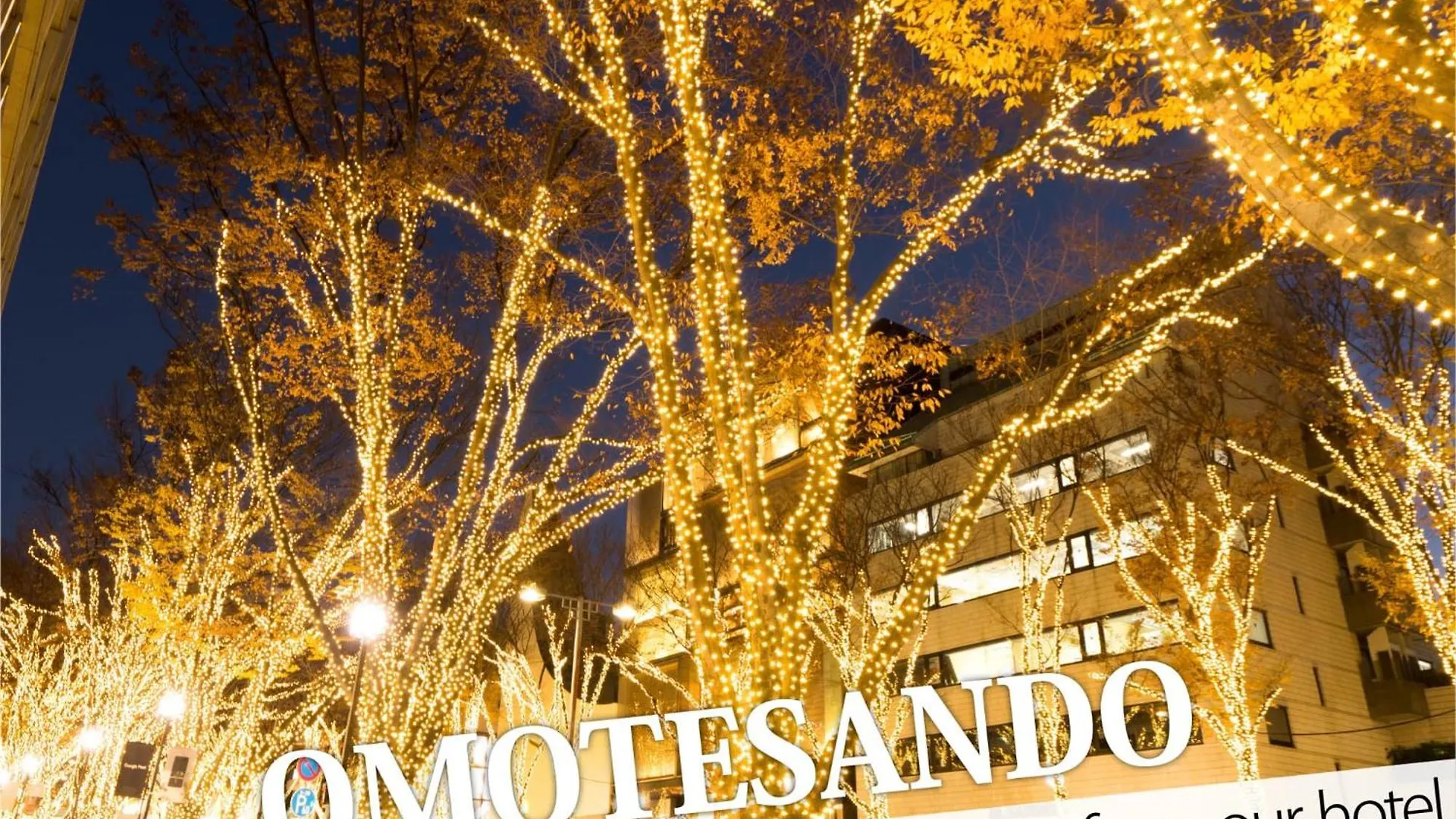 Hotel Amethyst Tokyo 2*,